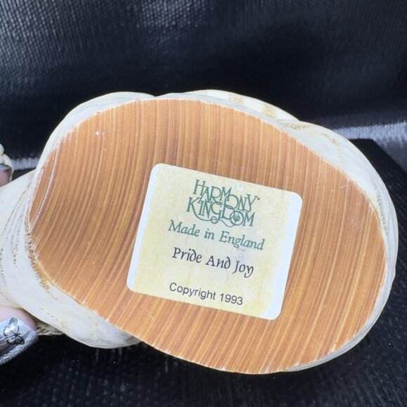 1993 Harmony Kingdom Pride And Joy Tiger and Cub Trinket Box Figurine Resin VTG - Picture 4 of 14